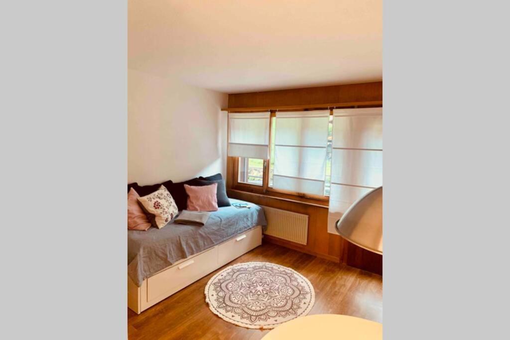 Studio Im Modernen Alpenstyle Adelboden Exteriör bild